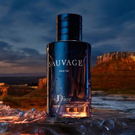 sauvage dior women's perfume|dior sauvage edp perfume shop.